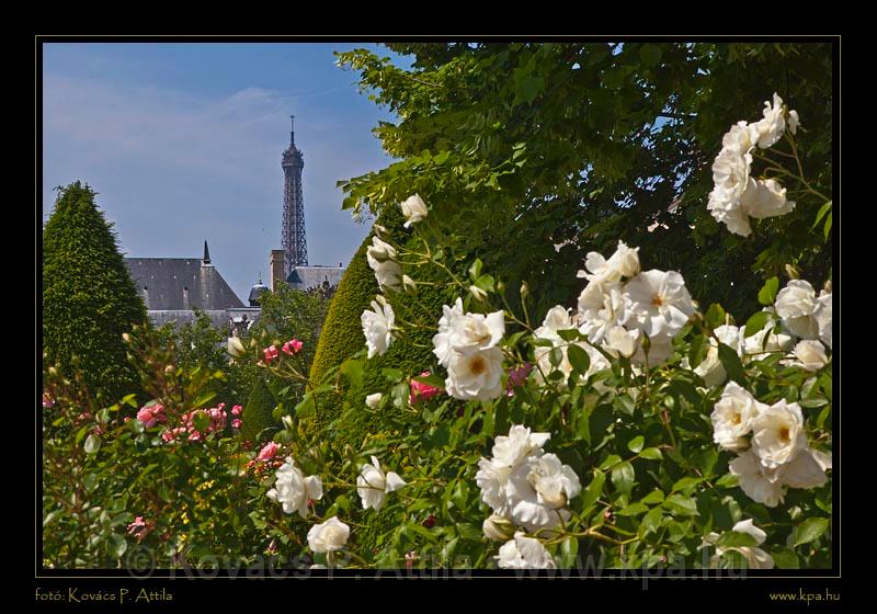 Musée Rodin 008.jpg